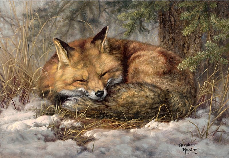 Dreaming of Spring, artwork, sleeping, fox, snow, painting, HD wallpaper