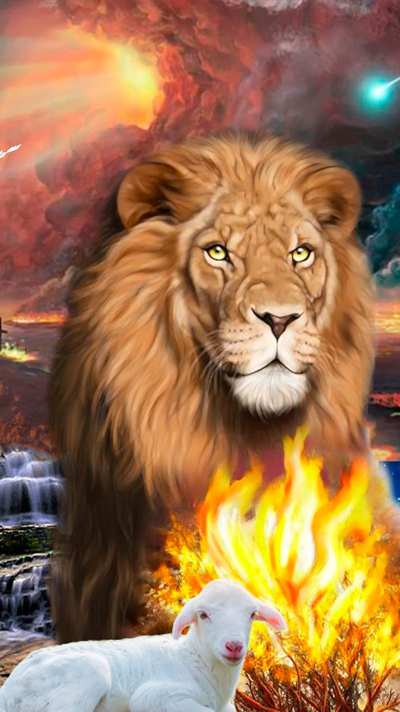 leon de juda, fire, king, land, lion, smiles, HD phone wallpaper