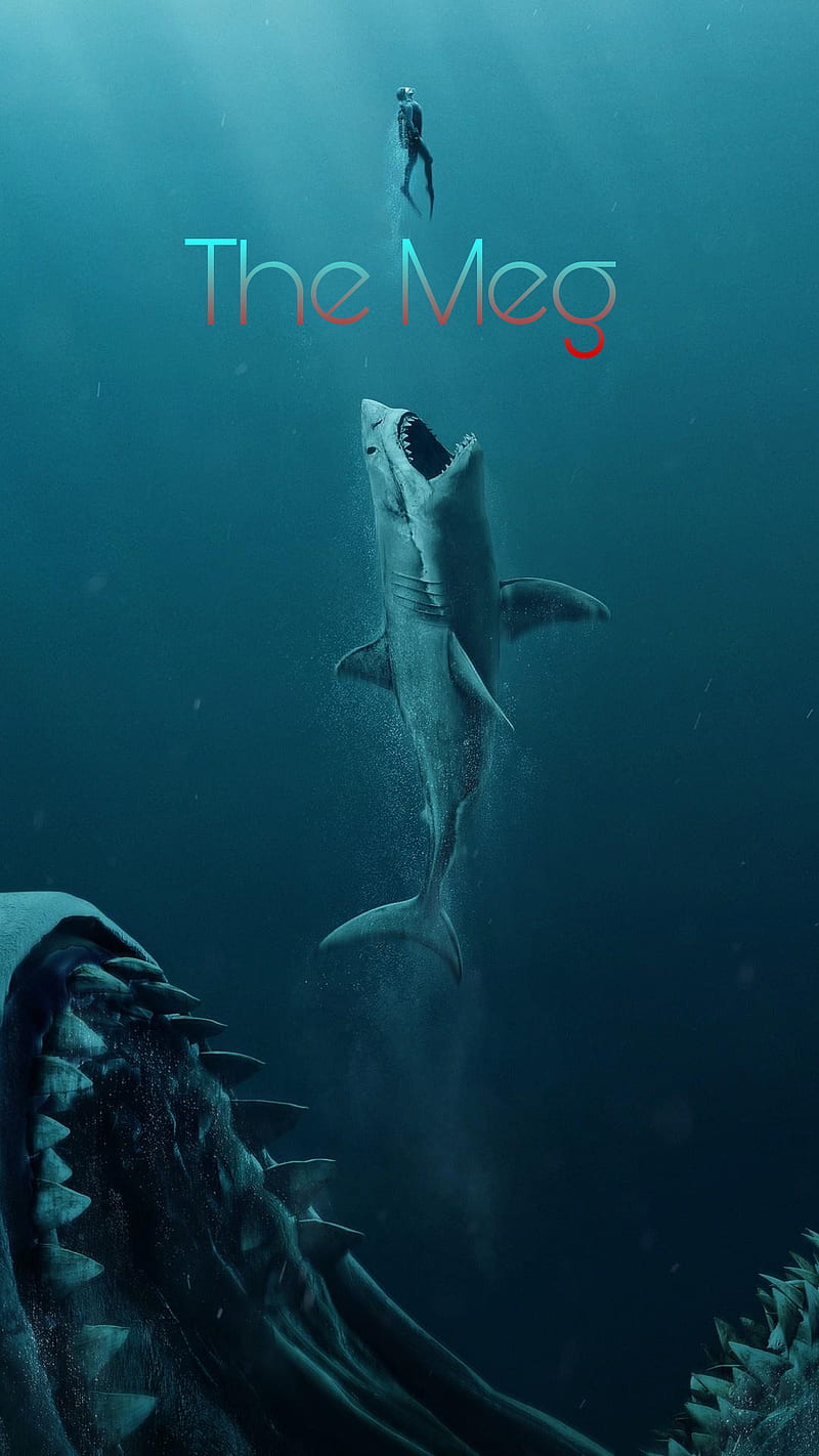 The meg, sharks, HD phone wallpaper | Peakpx