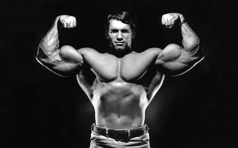 Arnold, man, actor, body, HD wallpaper