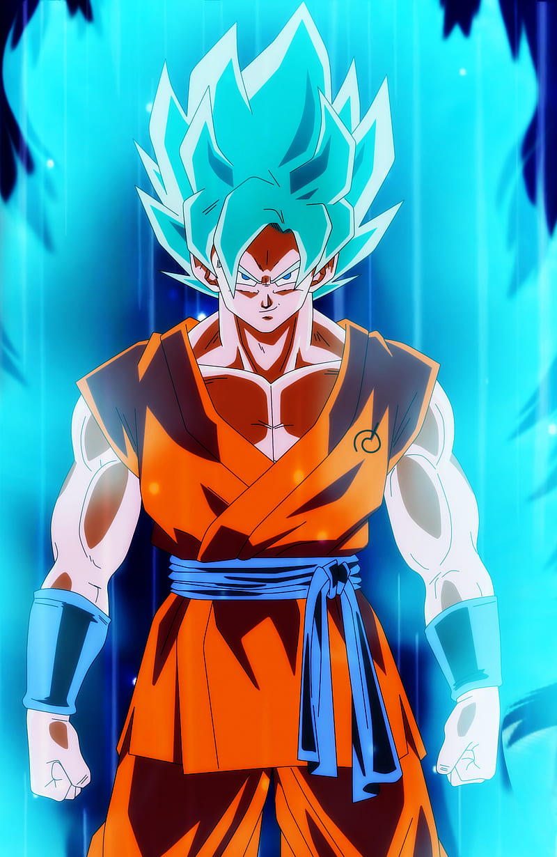 Gokú ssj blue / Dios azul. Dragon Ball Super, DBS.