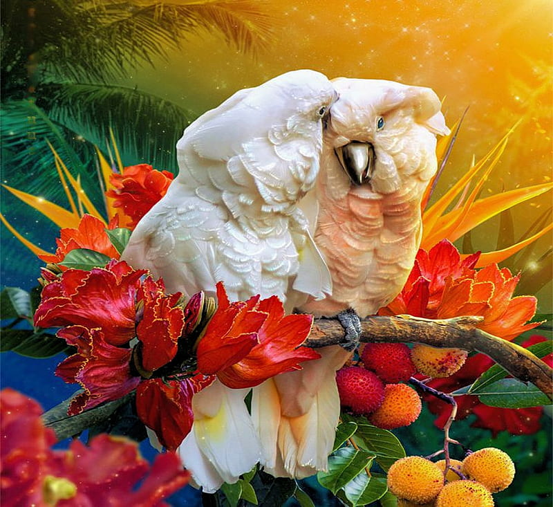 Parrots Tenderness, blossoms, flowers, birds, artwork, painting, HD ...