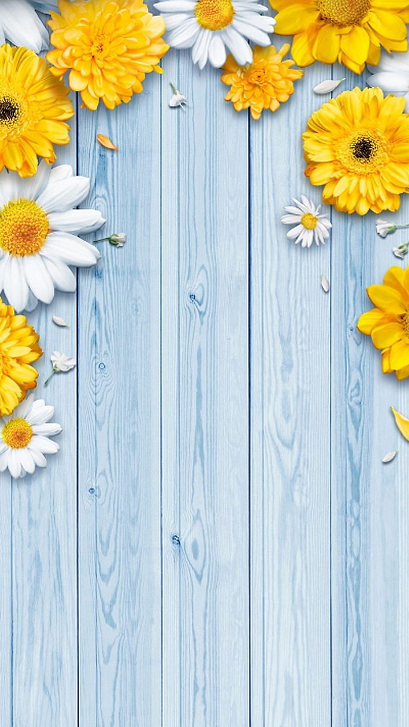 Flowers, white, wood, yellow, HD phone wallpaper