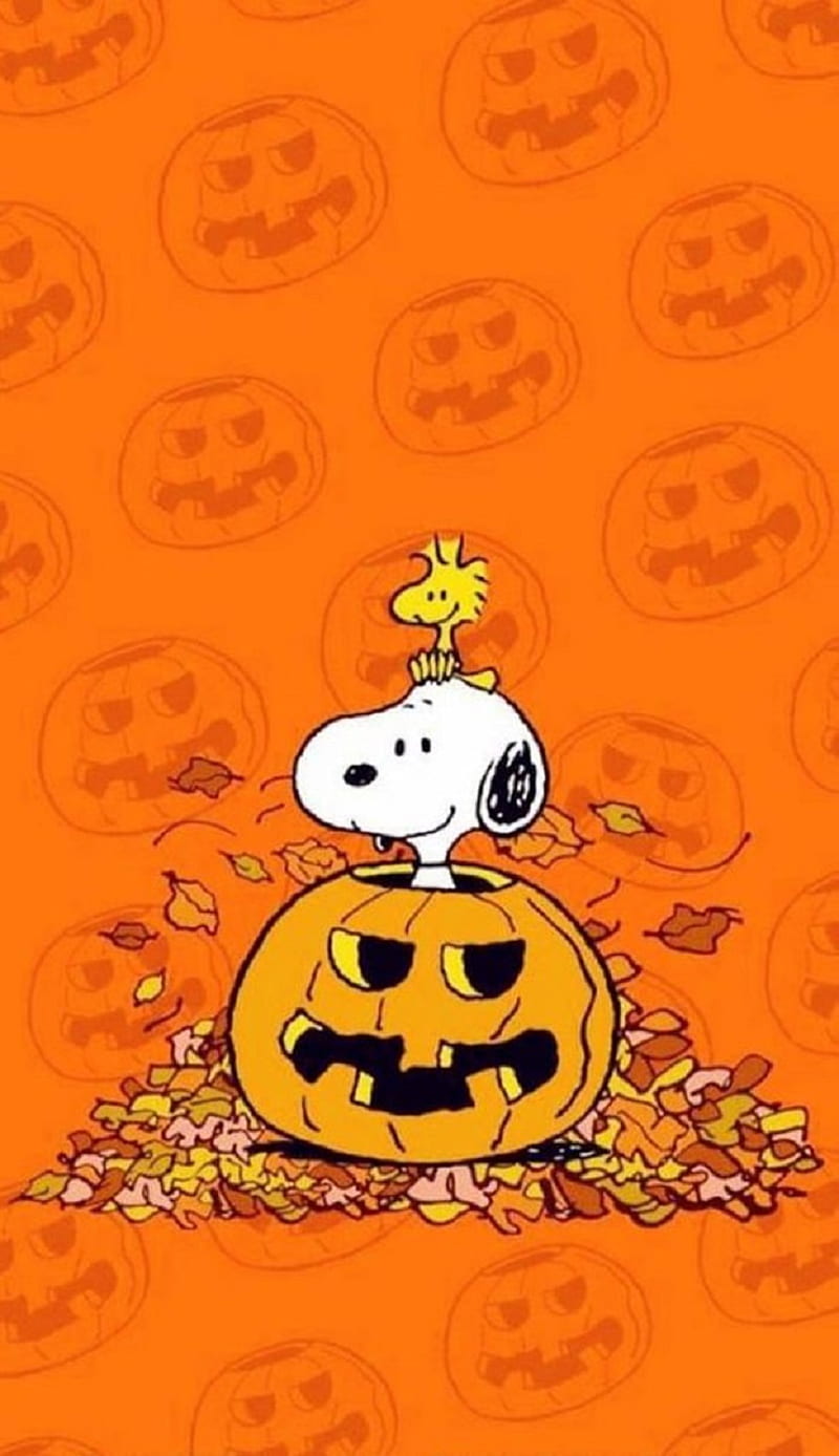 Snoopy Halloween, halloween, snoopy, HD phone wallpaper | Peakpx