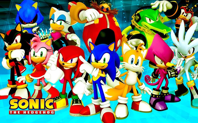 Sonic the Hedgehog Character Cast Sonic (SONIC SONIC) SONIC THE HEDGEHOG  SONIC THE HEDGEHOG Sonic Tails Knuckles Shadow Silver Rouge Espio Charmy  Vector Classic Sonic Blaze the Cat Big the Cat Metal