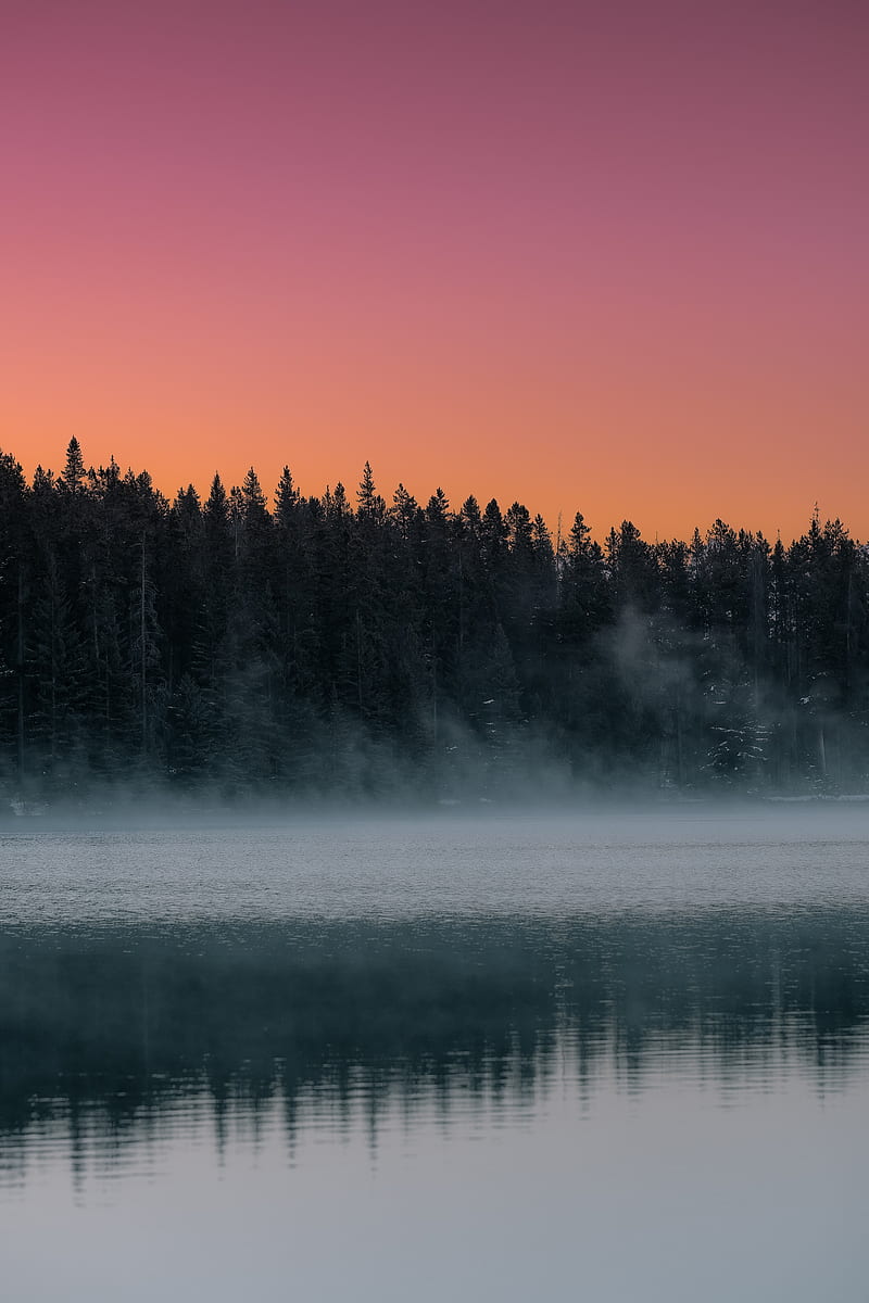 lake, fog, trees, dusk, landscape, HD phone wallpaper