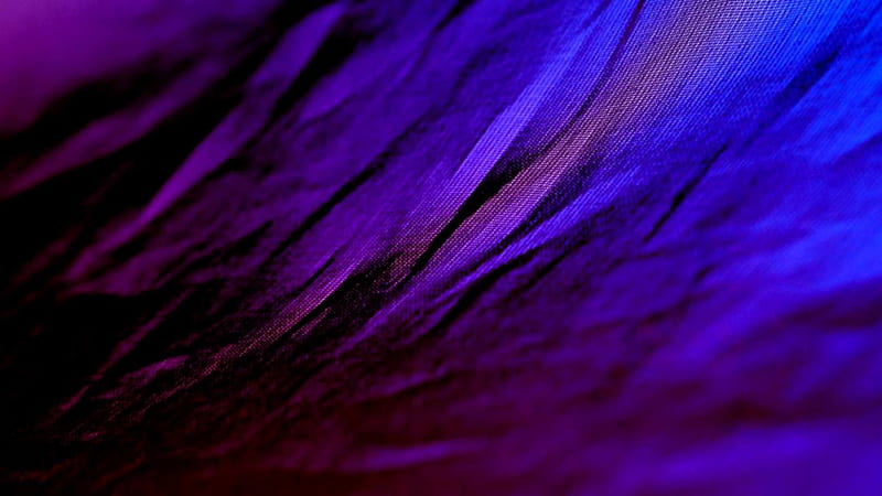 Dark Purple Texture, HD wallpaper