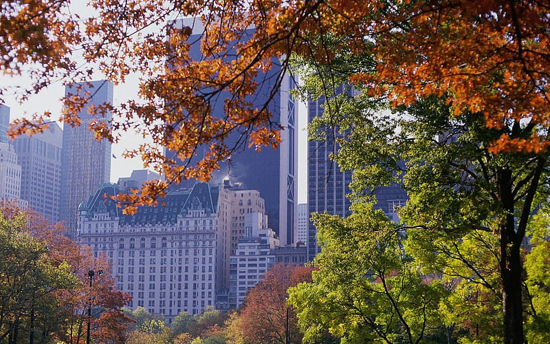 New York - Central Park Autumn, HD wallpaper