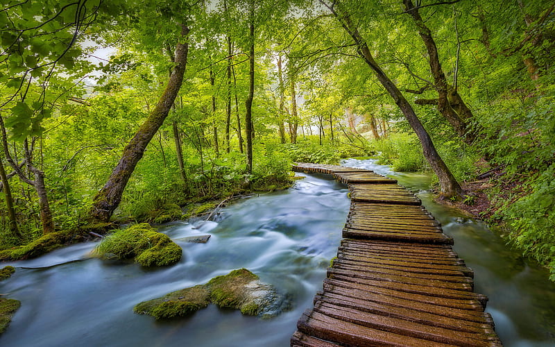 1366x768px, 720P free download | Plitvice Lakes National Park Croatia ...