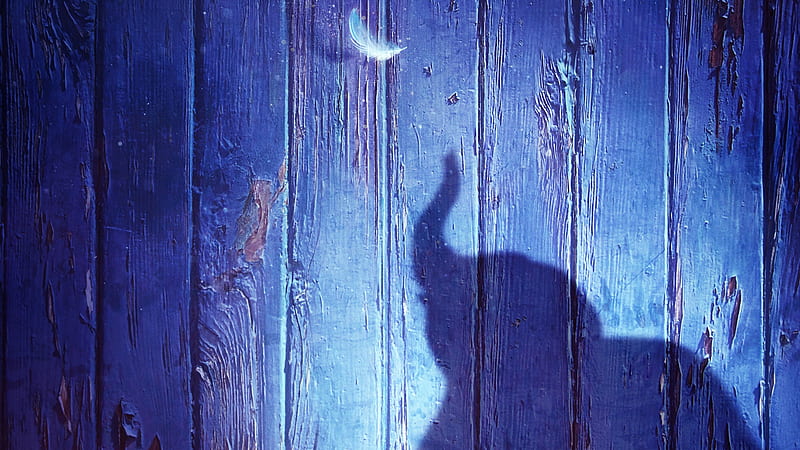 Dumbo 2019, blue, wood, poster, movie, dumbo, elephant, shadow, silhouette, fantasy, feather, flying, white, disney, HD wallpaper