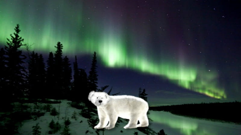 Aurora Borealis ~*~, aurora borealis, nature landscape, northem lights ...