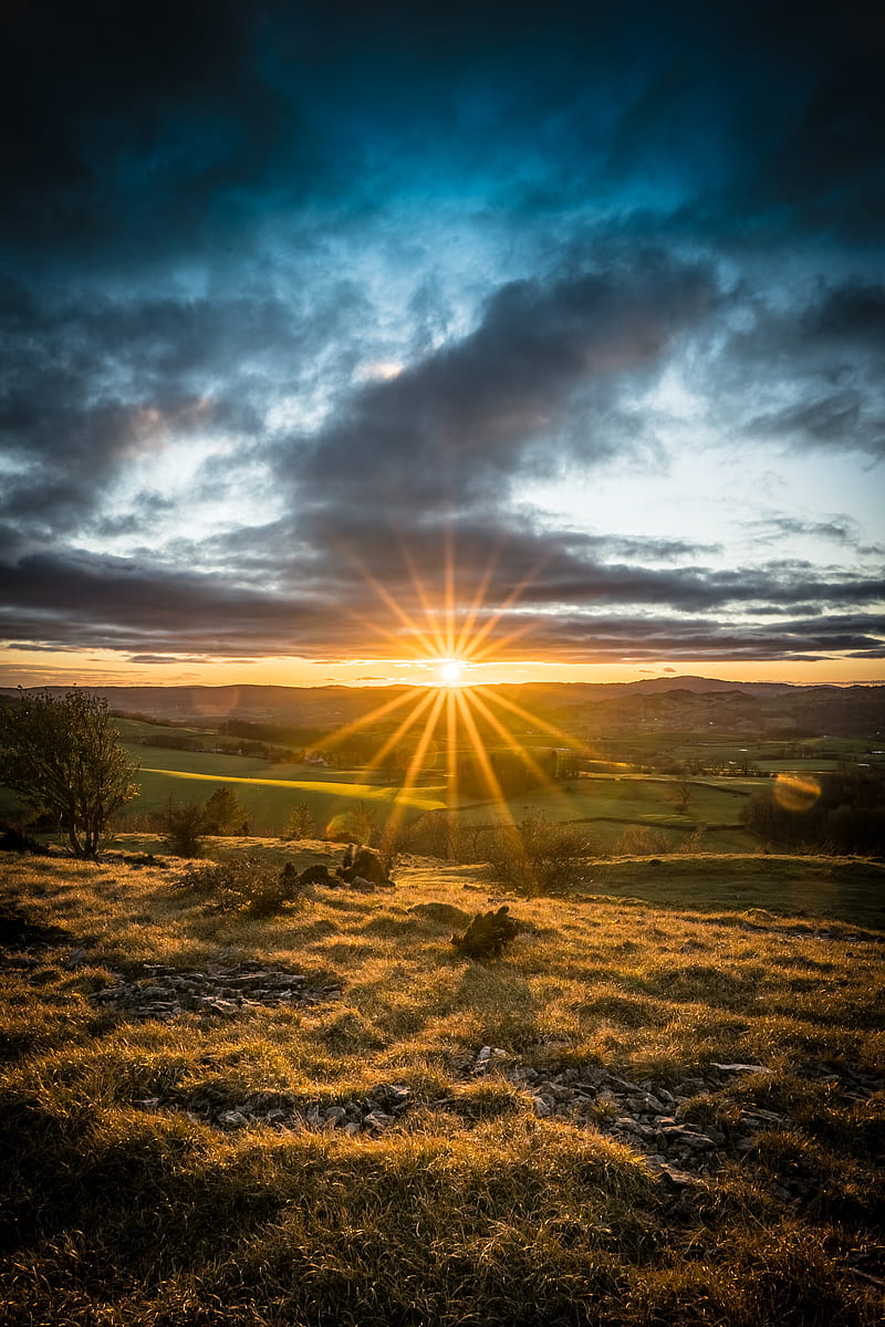 sunset, sun, rays, light, field, landscape, HD phone wallpaper