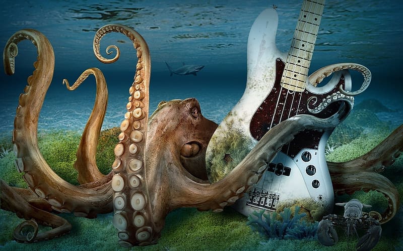 :), fantasy, underwater, funny, water, octopus, vara, animal, guitar, summer, instrument, caracatita, HD wallpaper