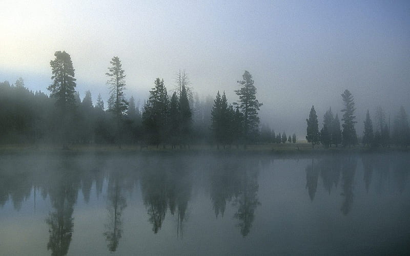 Wyoming-Yellowstone River in the morning mist, HD wallpaper
