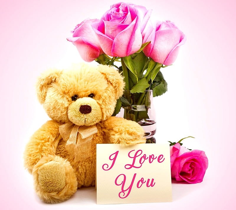 Valentines Day, gift, i love you, roses, teddy bear, toys, HD wallpaper