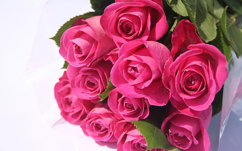 pink roses, rose bouquet, beautiful flowers, roses, floral background, HD wallpaper