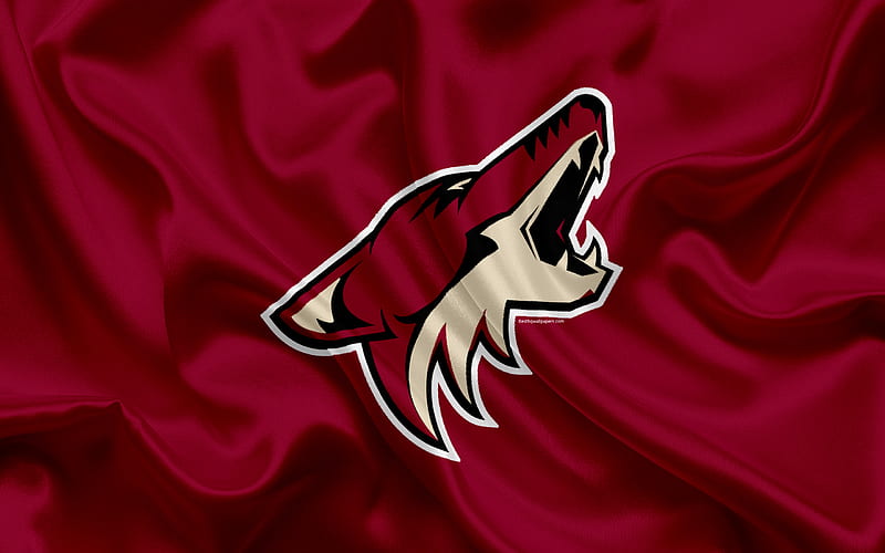 Arizona Coyotes, hockey club, NHL, emblem, logo, National Hockey League, hockey, Glendale, Arizona, USA, HD wallpaper