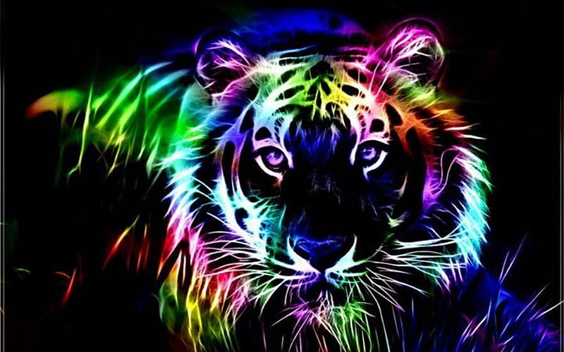 Tiger, colors, graphics, lovely, HD wallpaper