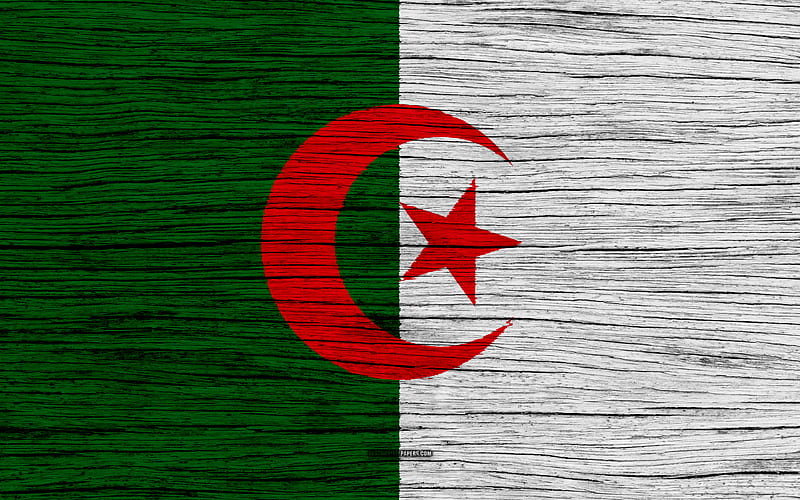 Flag of Algeria Africa, wooden texture, Algerian flag, national symbols, Algeria flag, art, Algeria, HD wallpaper
