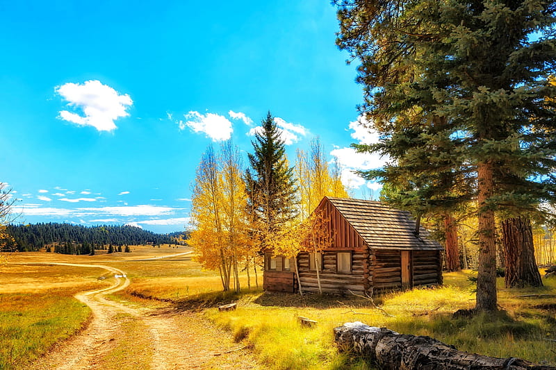 Autumn countryside, golden, autumn, hut, path, yellow, bonito, wooden, HD wallpaper