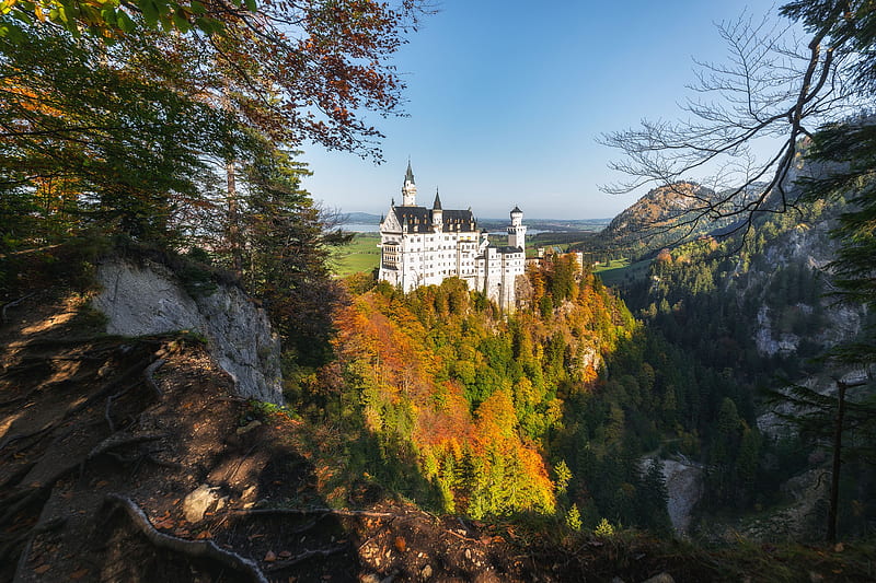 Castles, Neuschwanstein Castle, Bavaria, Castle, Fall, Forest, Germany, Rock, HD wallpaper