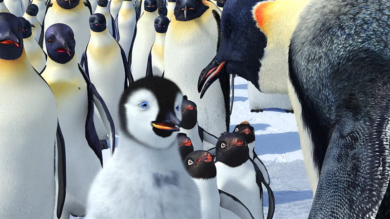 Happy Feet movie 22, HD wallpaper