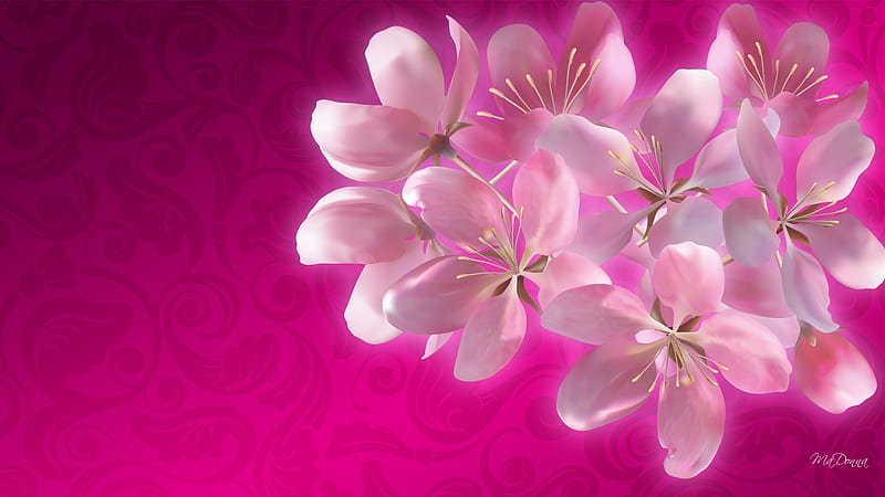 Spring Treat, sakura, spring, apple blossoms, cherry blossoms, bright, flowers, plum blossoms, pink, Firefox Persona theme, HD wallpaper