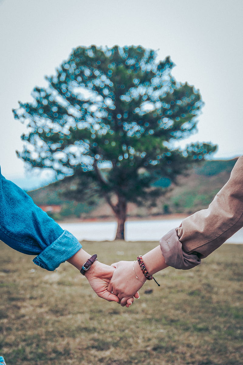 two persons holding hands, HD phone wallpaper