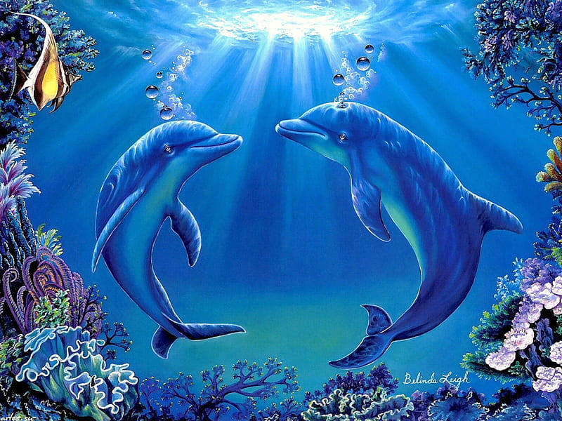 ★Dolphins Dance★, family, oceans, stunning, attractions in dreams