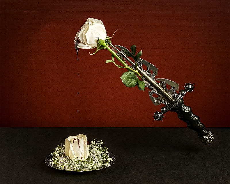 Bleeding Rose, blood, dagger, flower, knife, graph, HD wallpaper | Peakpx