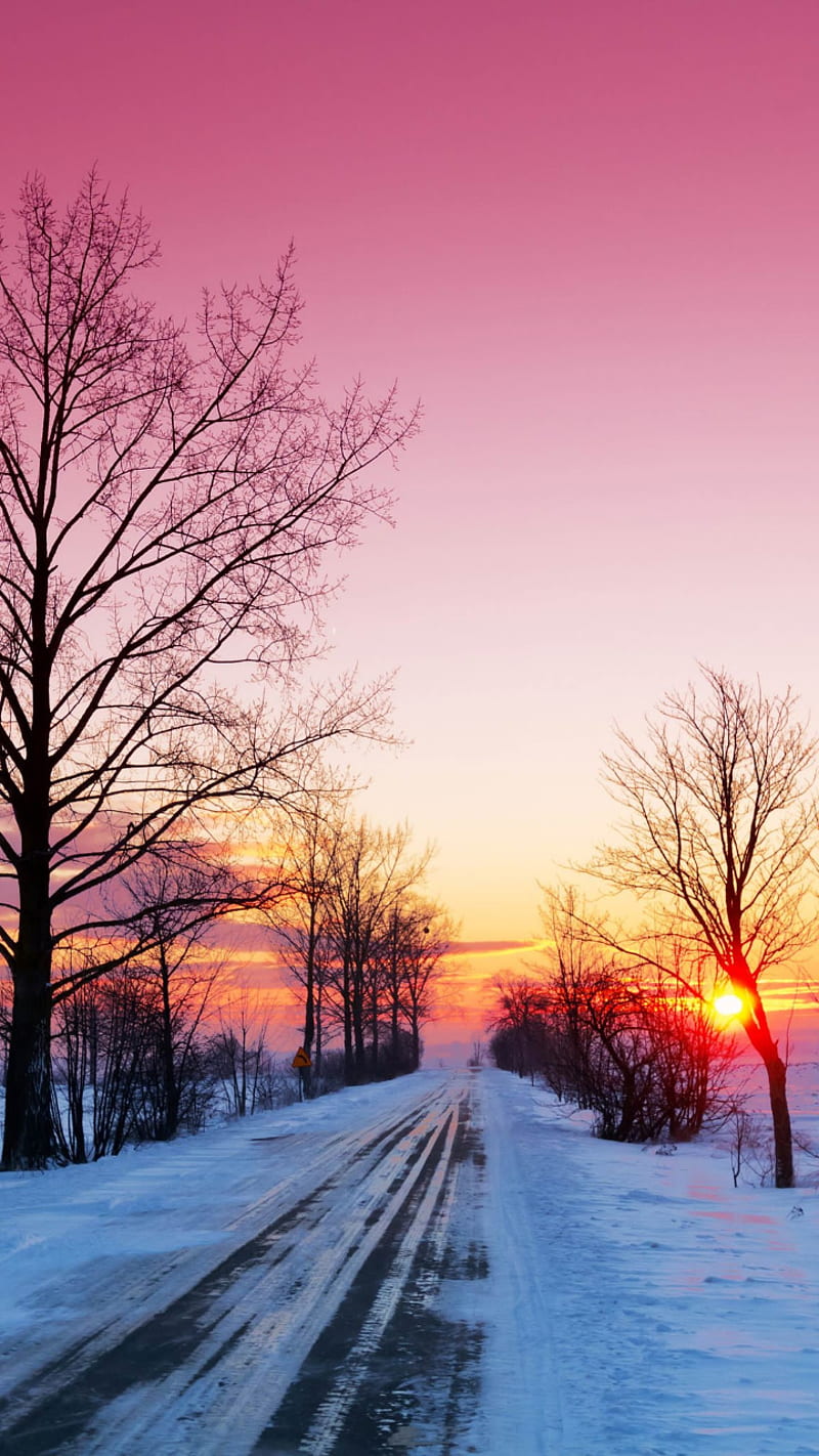 Pink winter , road, romantic, snow, scenes, flake, white, nature, HD phone wallpaper