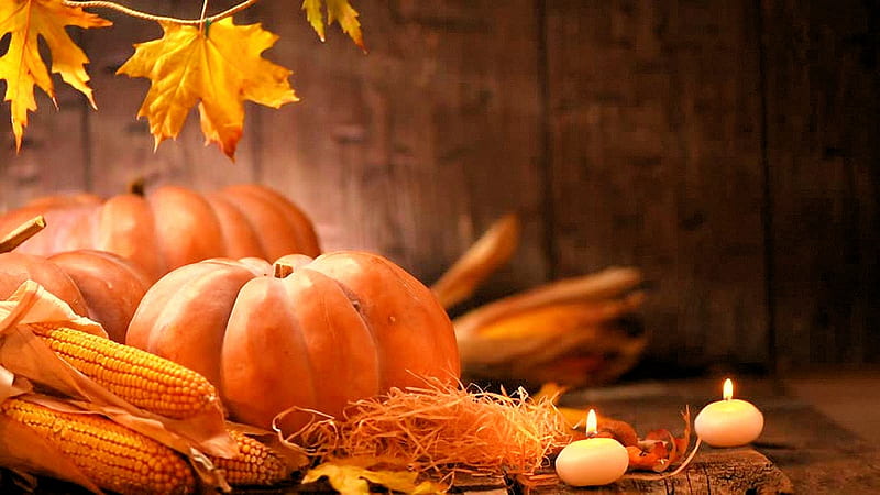 Symbols of Autumn, leaves, fall colors, pumpkins, candles, corn cobs, HD wallpaper