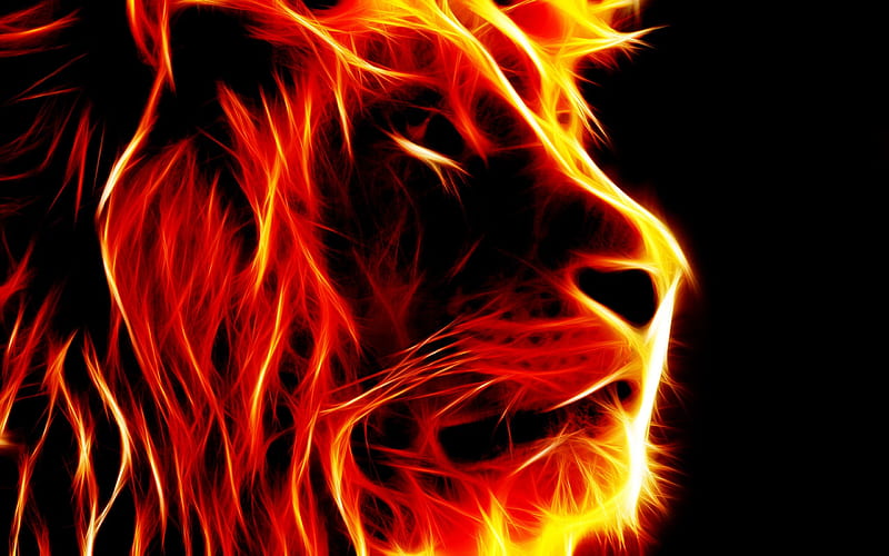fire lion, fire, rasta, lion, judah, HD wallpaper
