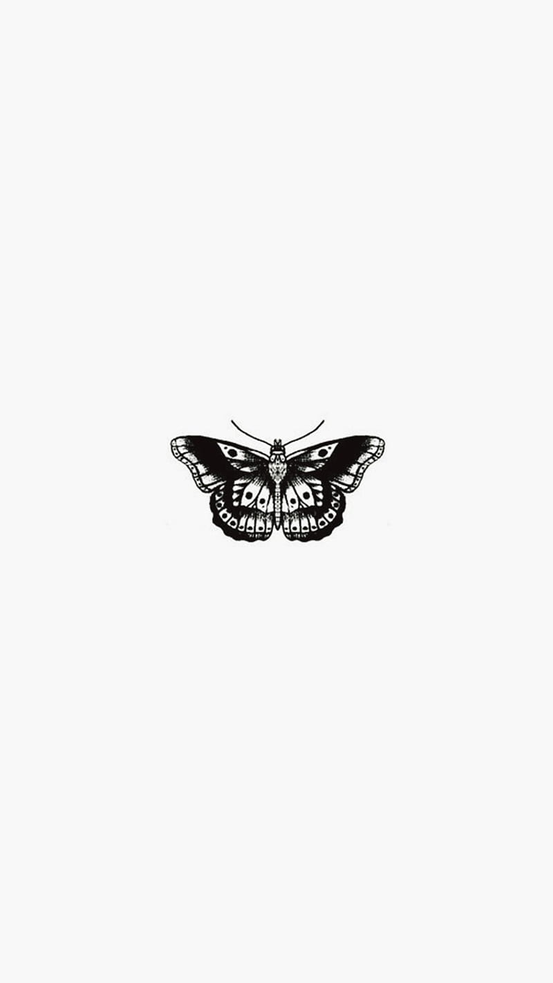 Moth, black, bug, pretty, simple, white, HD phone wallpaper
