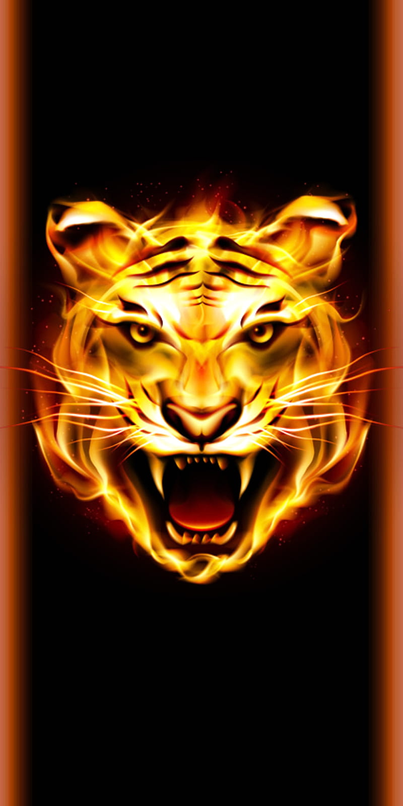 Tiger, jungle, tiger head, tiger logo, tiger , wild animal, HD phone wallpaper