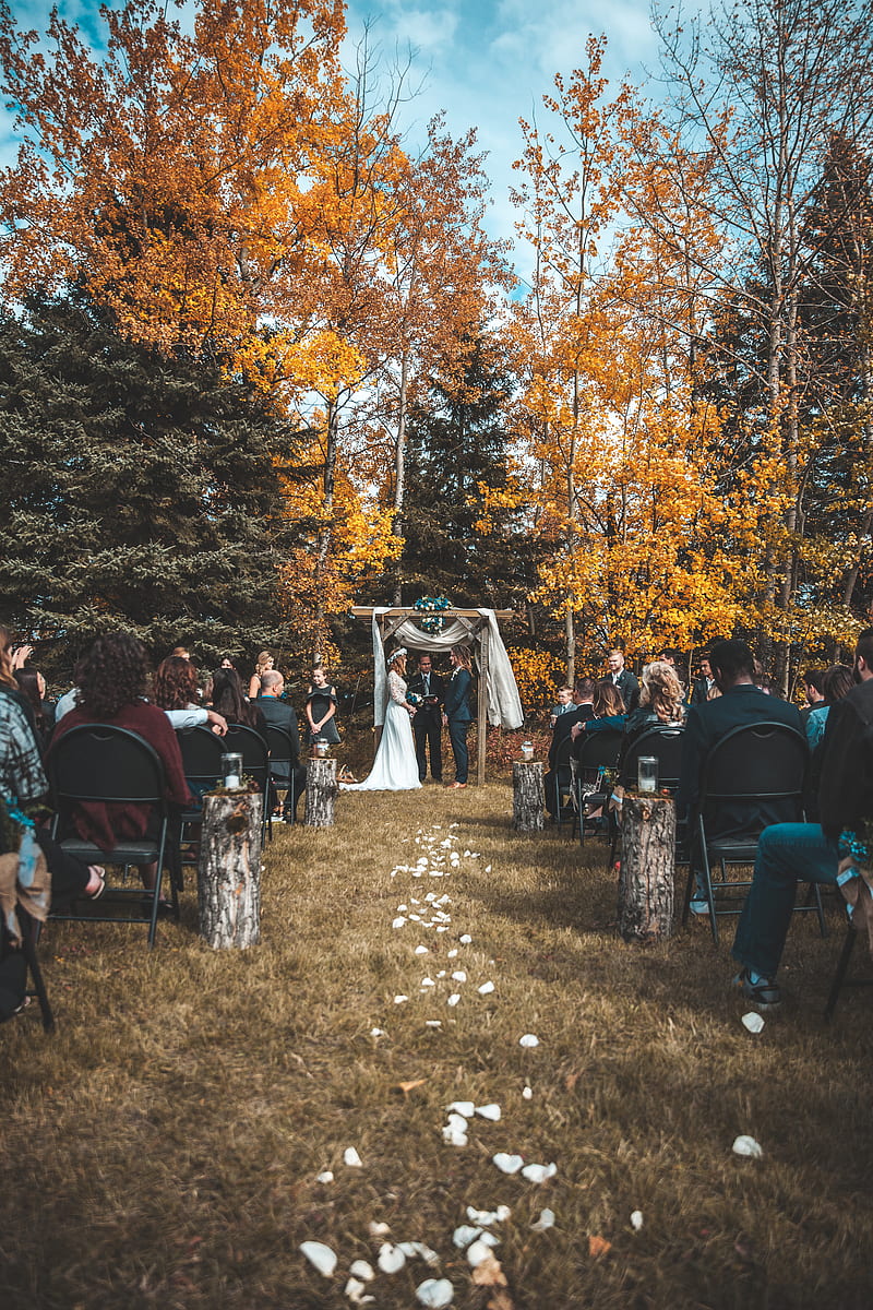 wedding ceremony beside fall trees during daytime, HD phone wallpaper