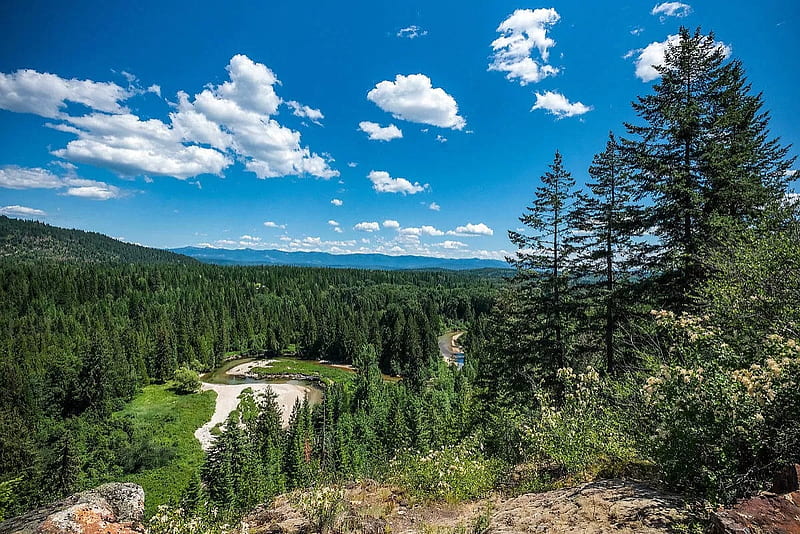 Nna Zephyr Hills, Idaho, Forest, Hills, Nature, HD wallpaper
