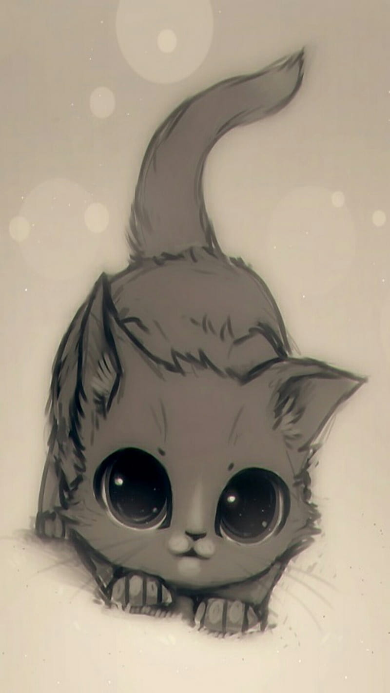 Cute Kitty, animals, HD phone wallpaper