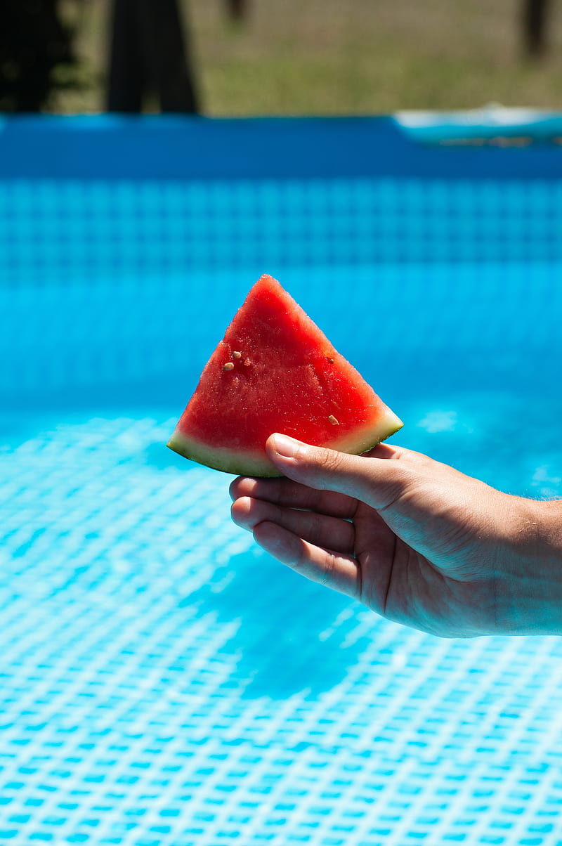 watermelon, hand, lobule, fruit, HD phone wallpaper