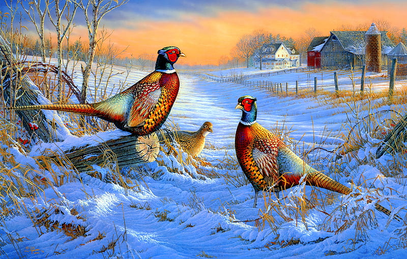 Winter afternoon, art, houses, birds, bonito, sunset, winter, countryside, afternoon, snow, painting, peaceful, village, pheasants, HD wallpaper