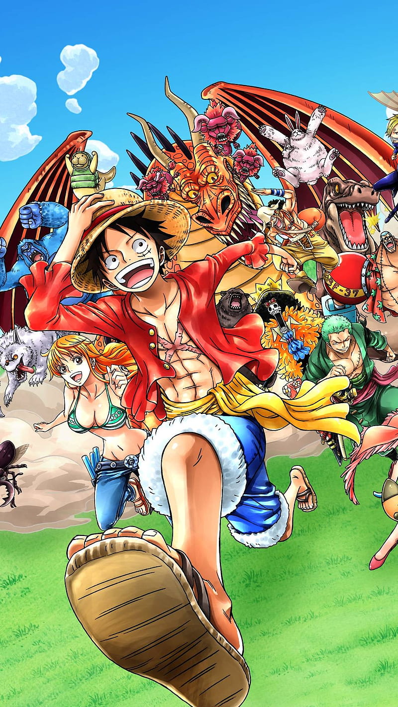 One Piece, one piece, anime, HD phone wallpaper | Peakpx