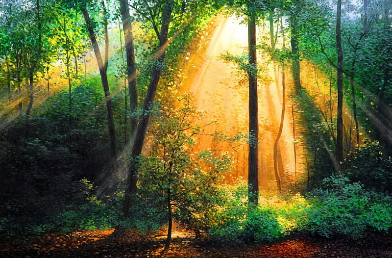 Forest sunlight, forest, art, glow, sunlight, bonito, trees, rays, painting, nature, sunrise, morning, sunbeam, HD wallpaper