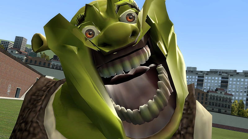 Funny Face Of Shrek, Shrek Meme, HD wallpaper