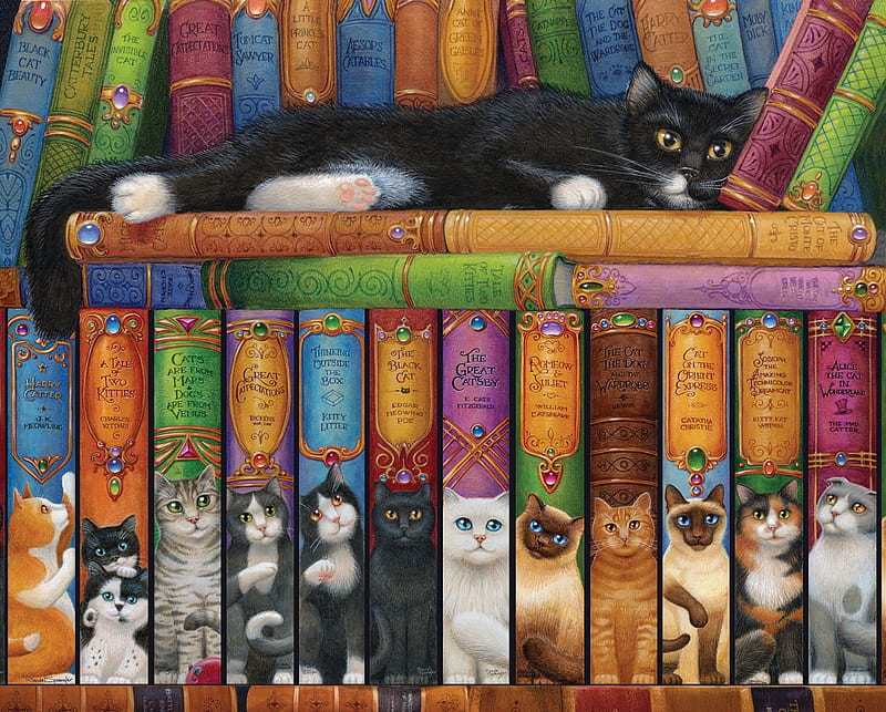 Book of Cats, books, library, black, white, cats, shelve, HD wallpaper