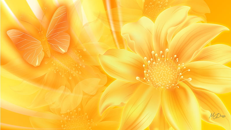 Sunny Flowers & Butterfly, gold, butterfly, summer, sunny, yellow, flowers, spring, floral, Firefox theme, HD wallpaper