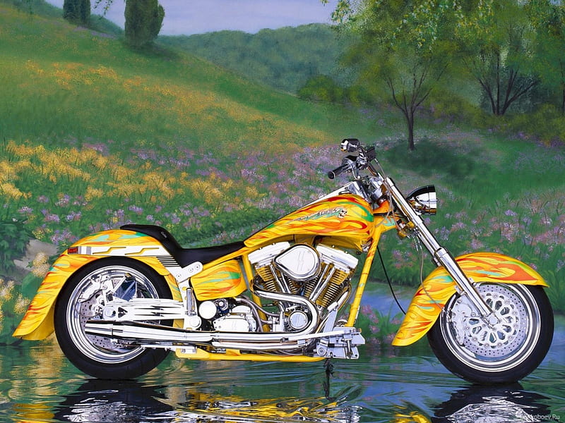 Harley Davidson, bike, cruiser, harley, motorcycle, HD wallpaper
