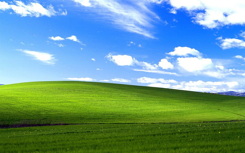Windows XP BLISS, windows, nature, bliss, xp, HD wallpaper