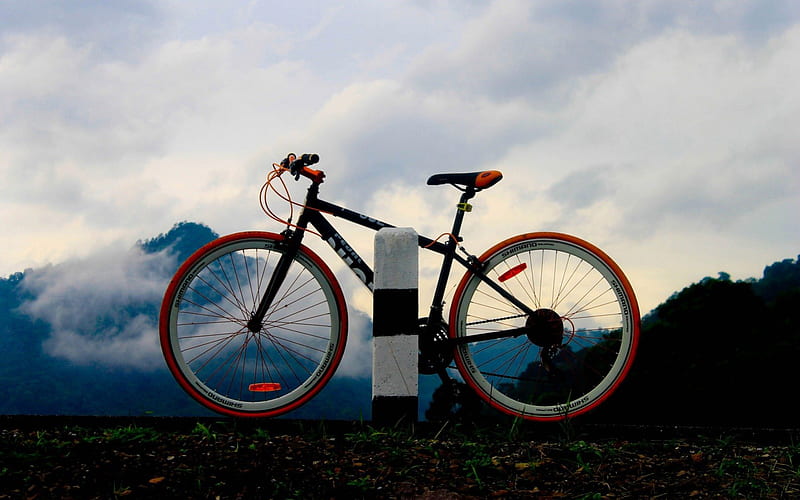 Mountain Bike, 2 wheel, bicycle, speed, HD wallpaper