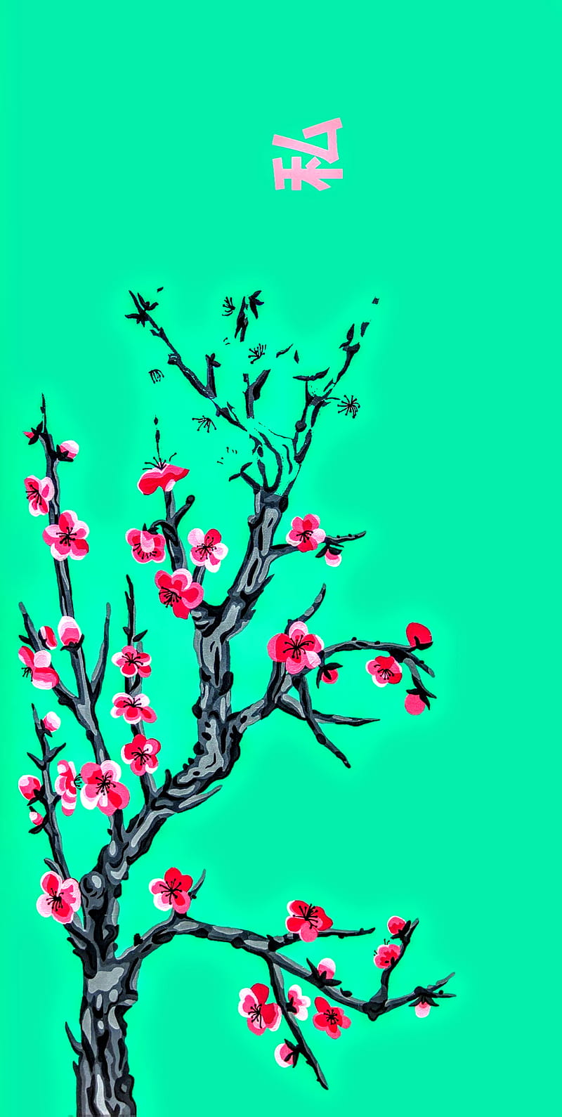 Arizona tea tree, aesthetic, arizona tea, cherry blossoms, HD phone  wallpaper | Peakpx