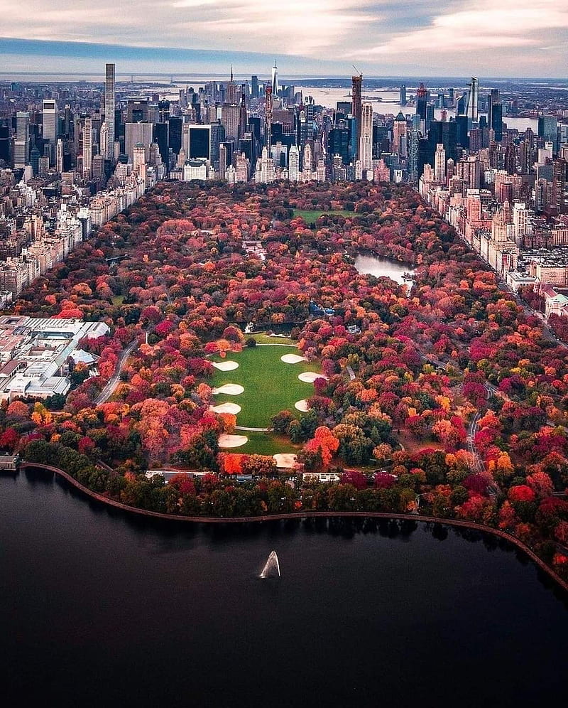 New York, autumn, leafs, park, water, HD phone wallpaper